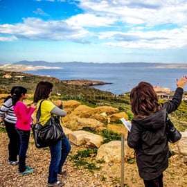 Da Atene: Visita guidata al Tempio di Poseidone e a Capo Sounion