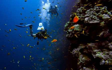 Atene: immersioni e tempio di Poseidone a Sunio con servizio navetta