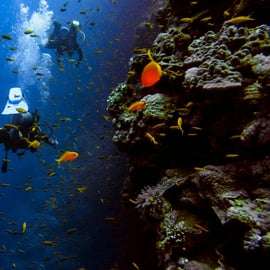 Atene: immersioni e tempio di Poseidone a Sunio con servizio navetta