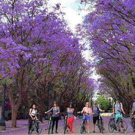 Atene: Tour della città in bicicletta