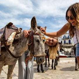 Atene: Crociera di un giorno intero a Idra, Poros ed Egina con pranzo
