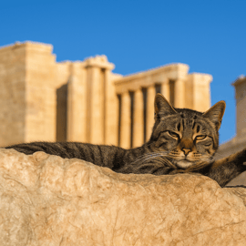 Atene: tour guidato dell'Acropoli per piccoli gruppi (max 8 persone)