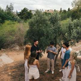 Atene: tour del frantoio con degustazione e stuzzichini