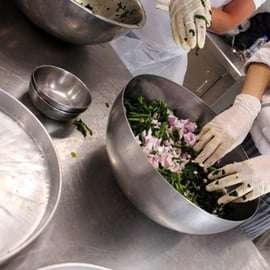 Atene: Corso di cucina greca e cena su un tetto