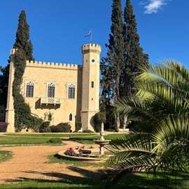 Atene: tour enologico con degustazione di vini in una cantina locale