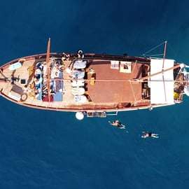 Da Atene: crociera di un giorno a Egina, Agistri e Metopi con pranzo